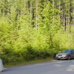 honey-moon-bay-cowichan-lake-wedding (98)