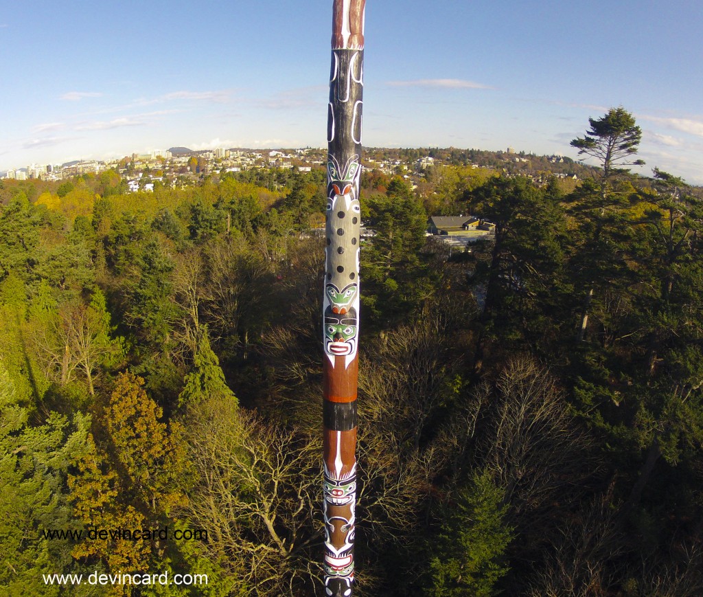 beacon-hill-park-totem-pole-aerial-photo